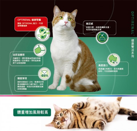 冠能 成貓結紮泌尿保健配方