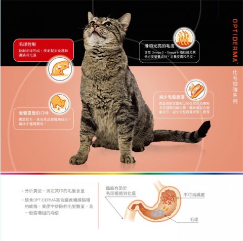 *冠能 挑嘴成貓鮭魚潤毛配方