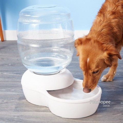 Petmate 自動補水飲水器3.8公升