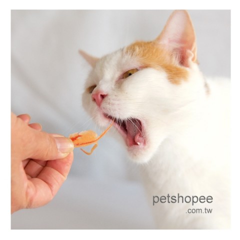 LION獅王 PETKISS親親貓用螃蟹風味片 