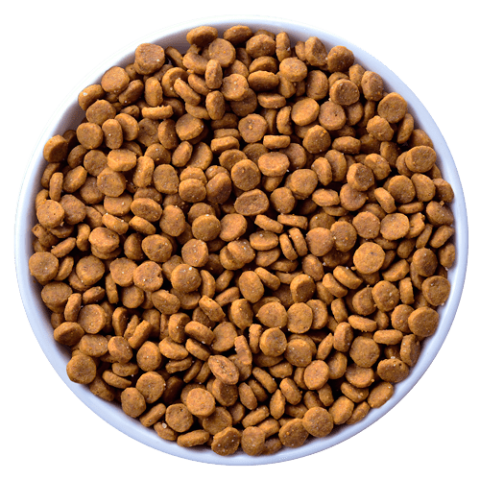 希爾思 貓k/d 海魚味