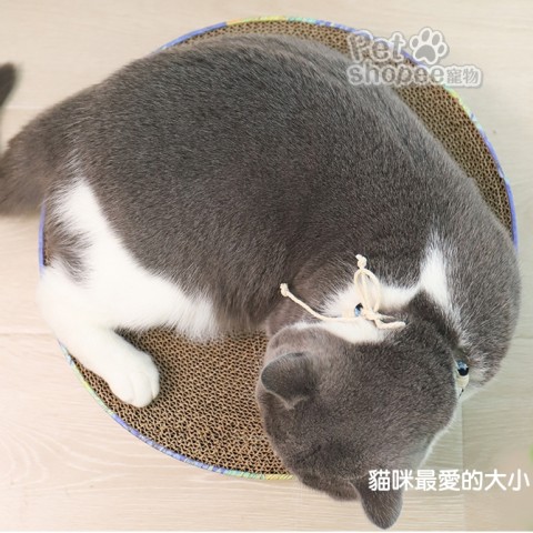 精緻山谷型貓抓床-櫻花紋