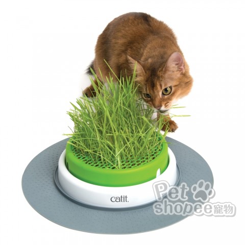 Catit2.0貓草種植盤組