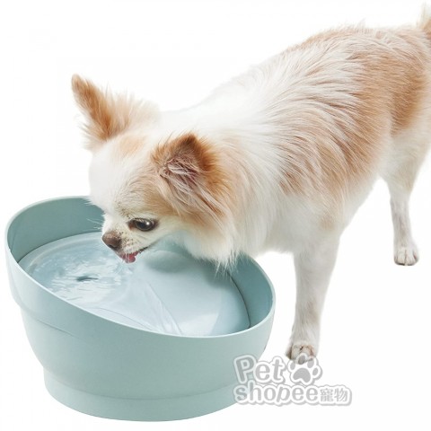 Gex 犬用渴盼飲水器-薄荷綠