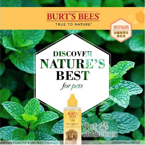 Burt's Bees 蜜蜂爺爺/金縷梅薄荷潔耳液