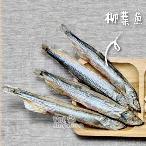 小叼饞凍乾小丁-柳葉魚