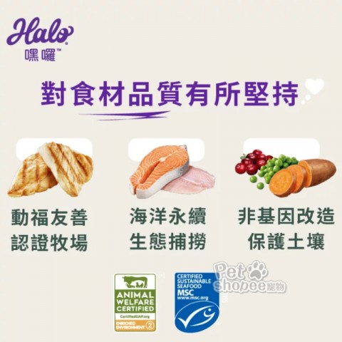 HALO嘿囉 無穀成貓-鮮雞