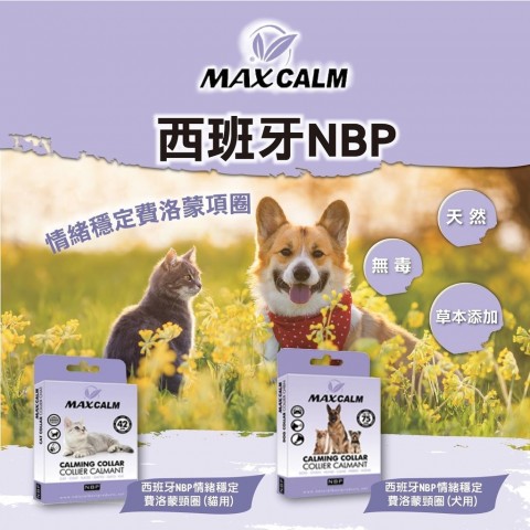 西班牙NBP情緒穩定費洛蒙頸圈貓用